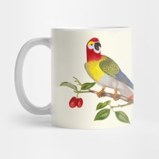 Parrot Bird Colorful Wildlife Illustration Mug